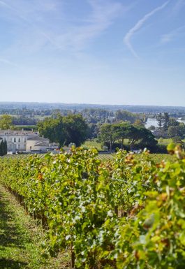 Le vignoble Grand Libournais et ses appellations prestigieuses
