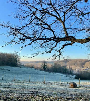 Les paysages d’hiver en Pays Foyen : entre douceur et beauté hivernale