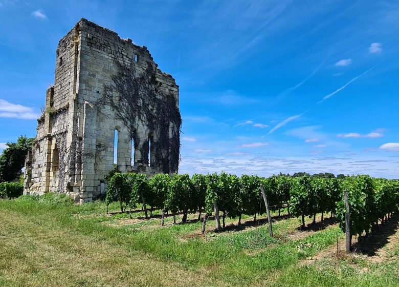 Vignobles Gabard – Château La Croix de Queynac