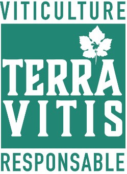 Château Lambert – Une vigneronne engagée de la vigne au chai