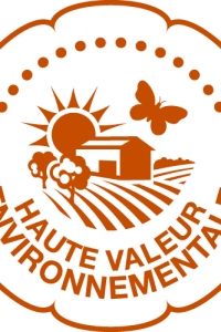 Château Lambert – Une vigneronne engagée de la vigne au chai