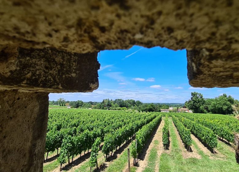 Gabard Vineyards – Château La Croix de Queynac