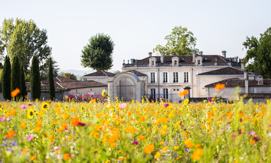 Château de la Dauphine – La Visite & Le Déjeuner Estival