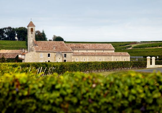 Boucle vélo : La route des vins en famille