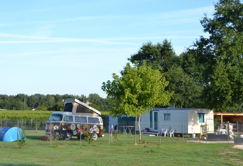 Campingplatz mit zwei Eseln