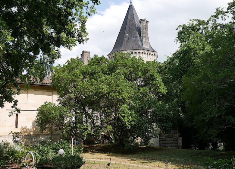 Chateau Gueyrosse