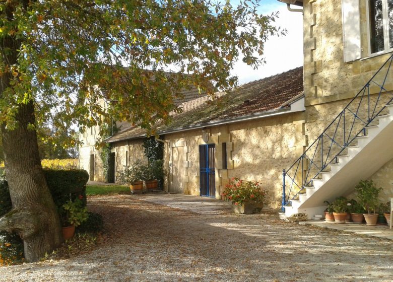 Lamarque vineyards – Château Puynormon