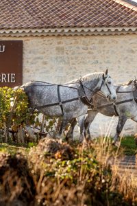 Château Croix de Labrie
