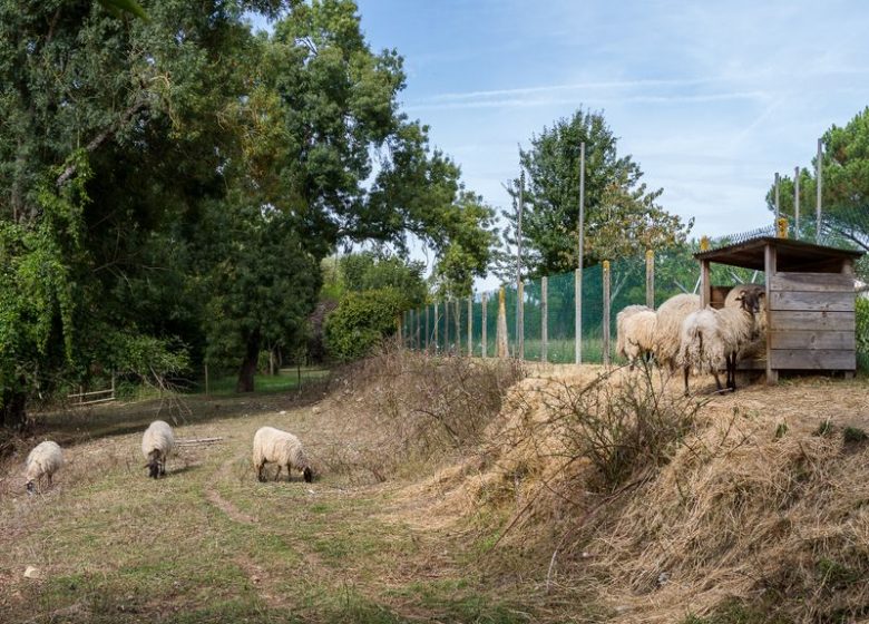 Ferme de la Barbanne