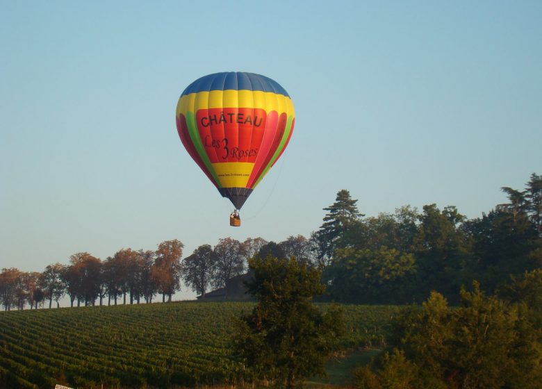 Bordeaux hot air balloon - François PONT