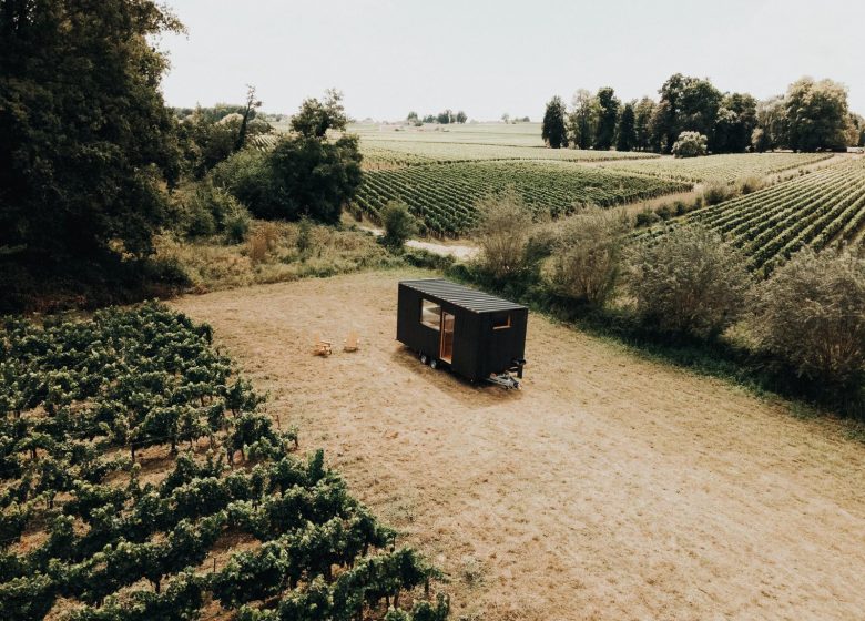 Parcel Saint-Emilion