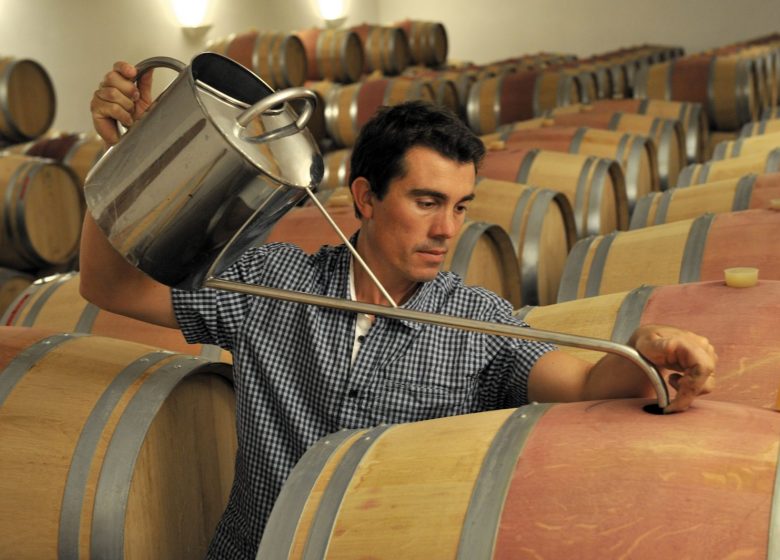 Weinsyndikat von Lalande-de-Pomerol