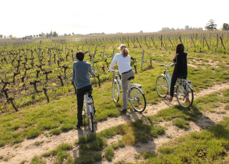 自行车道：Côtes de Castillon