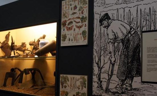 Boucle vélo: Histoire et patrimoine autour de Montagne