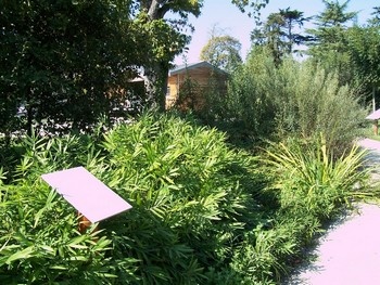 Jardin de la Lamproie