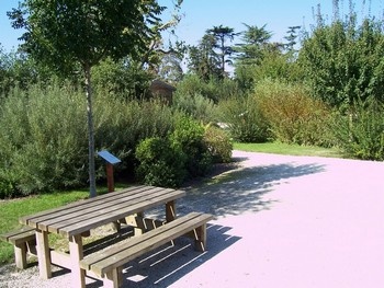 Jardin de la Lamproie