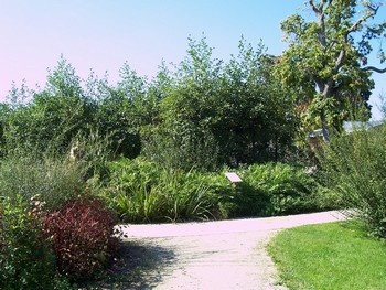 Jardin de la Lamproie