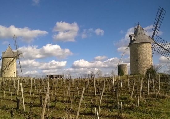 Boucle vélo: Histoire et patrimoine autour de Montagne