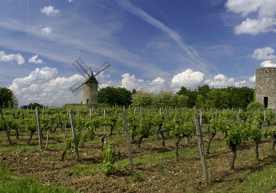 Boucle vélo: Néac et Lalande de Pomerol