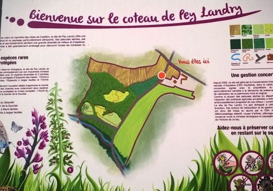 Boucle vélo : Les Côtes de Castillon