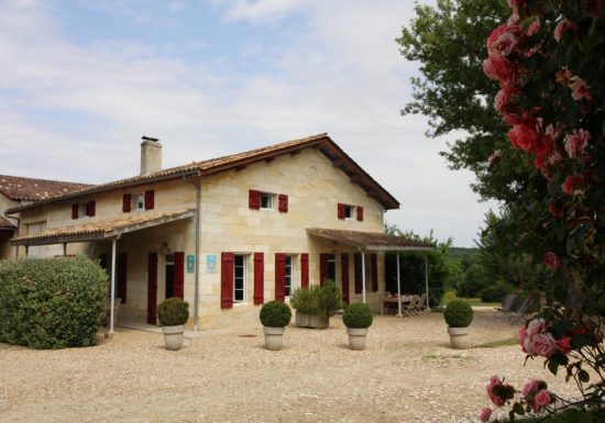 Château Malfard – Petit Verdot