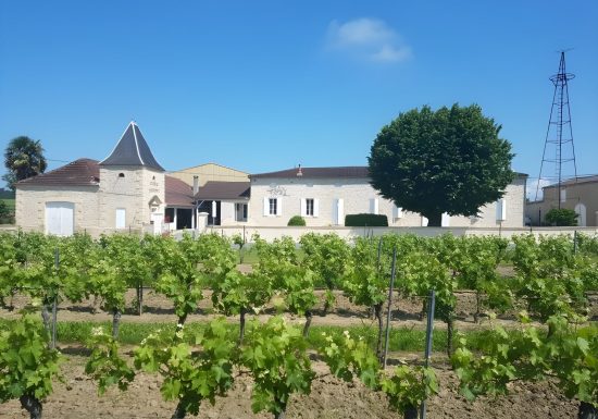 Château Piconat EARL COMIN GUICHENEY