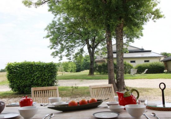 Château Malfard – Petit Verdot