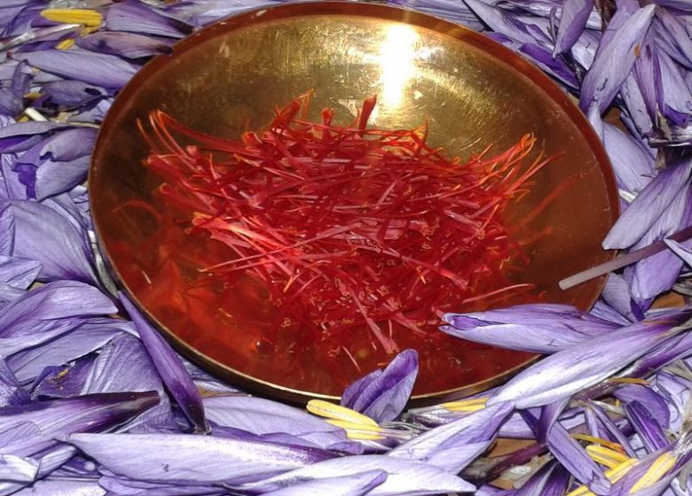 特拉藏红花