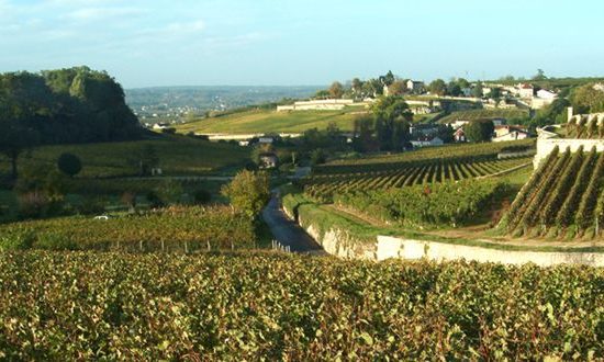 Boucle vélo : La route des vins en famille